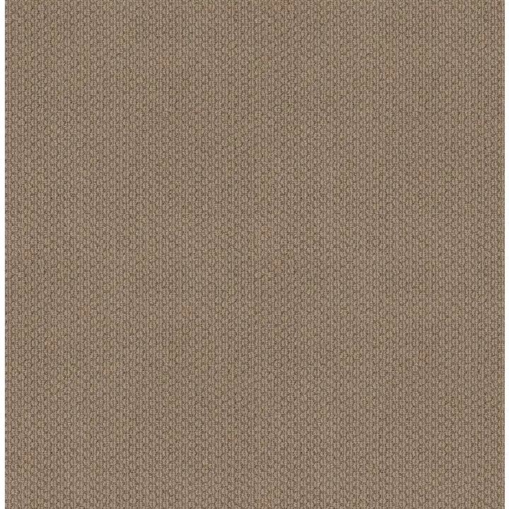 Shaw Floors Cathedral Hill II — Sand Dune · ZZ040-00172 — flooring selection with LeviArs Design & Remodeling