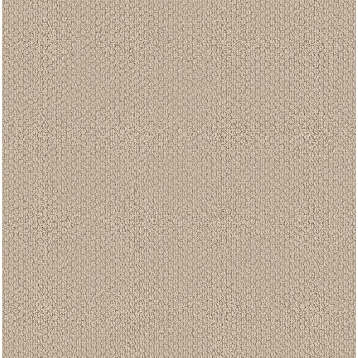 Shaw Floors Cathedral Hill II — Short Bread · ZZ040-00110 — flooring selection with LeviArs Design & Remodeling