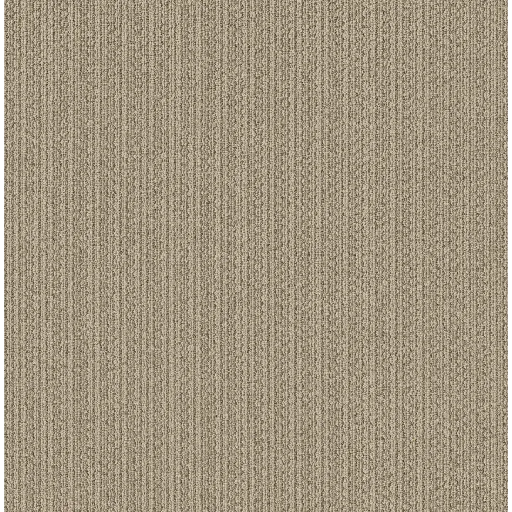 Shaw Floors Cathedral Hill II — Smoky Pearl · ZZ040-00154 — flooring selection with LeviArs Design & Remodeling