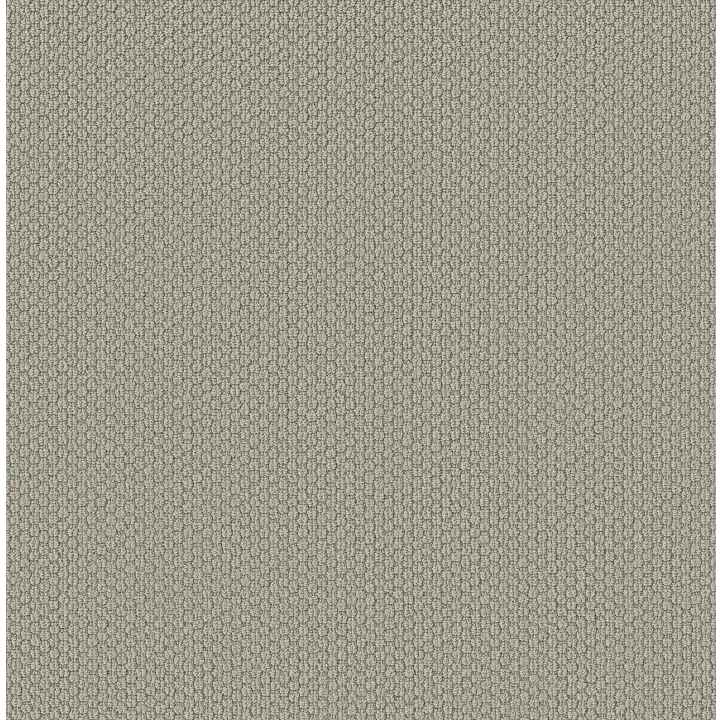 Shaw Floors Cathedral Hill II — Stylish Gray · ZZ040-00552 — flooring selection with LeviArs Design & Remodeling