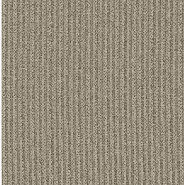 Shaw Floors Cathedral Hill II — Subtle · ZZ040-00573 — flooring selection with LeviArs Design & Remodeling