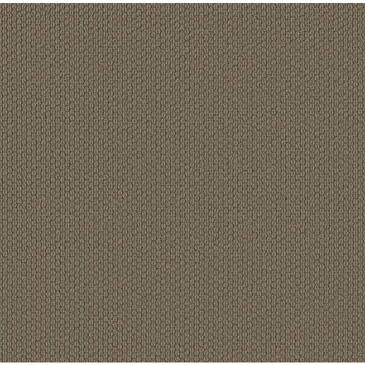 Shaw Floors Cathedral Hill II — Thunder Bay · ZZ040-00576 — flooring selection with LeviArs Design & Remodeling