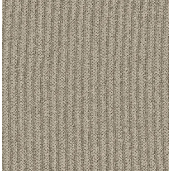 Shaw Floors Cathedral Hill II — Timeless · ZZ040-00170 — flooring selection with LeviArs Design & Remodeling