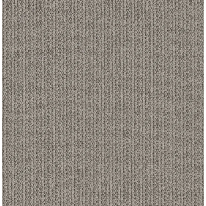Shaw Floors Cathedral Hill II — Valley Mist · ZZ040-00523 — flooring selection with LeviArs Design & Remodeling
