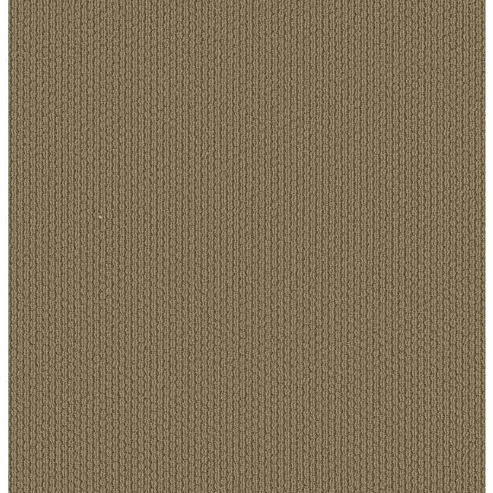 Shaw Floors Cathedral Hill II — Warm Hearth · ZZ040-00774 — flooring selection with LeviArs Design & Remodeling