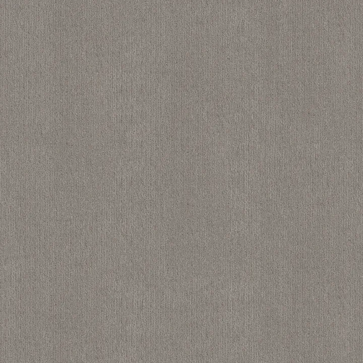 Shaw Floors Cedar City — Antique Gray · 5E823-00551 — flooring selection with LeviArs Design & Remodeling