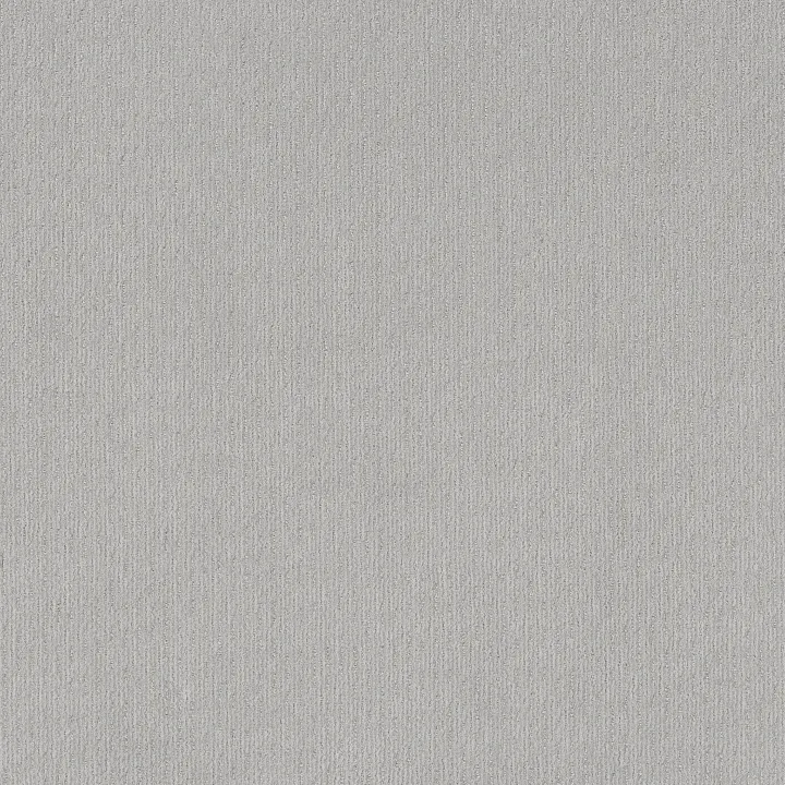 Shaw Floors Cedar City — Classic Silver · 5E823-00550 — flooring selection with LeviArs Design & Remodeling