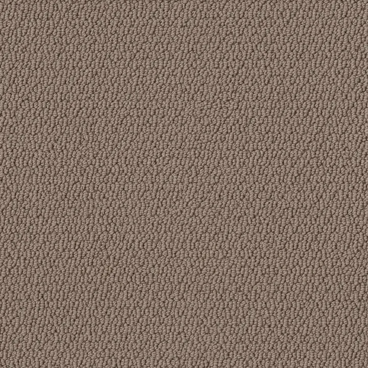 Shaw Floors Channeling — Bird House · 5E457-00703 — flooring selection with LeviArs Design & Remodeling
