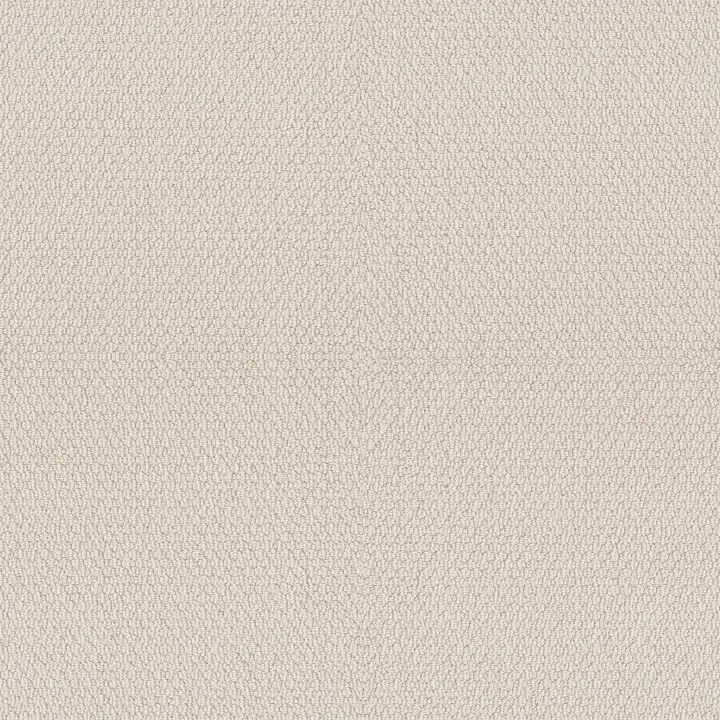 Shaw Floors Channeling — Canvas · 5E457-00103 — flooring selection with LeviArs Design & Remodeling