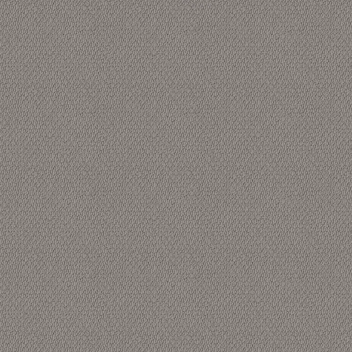Shaw Floors Channeling — Cozy Throw · 5E457-00504 — flooring selection with LeviArs Design & Remodeling