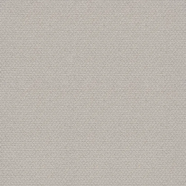 Shaw Floors Channeling — Minimal · 5E457-00101 — flooring selection with LeviArs Design & Remodeling