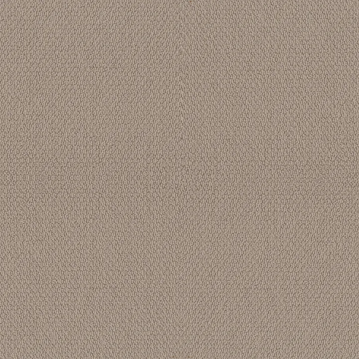Shaw Floors Channeling — Pebble Path · 5E457-00109 — flooring selection with LeviArs Design & Remodeling
