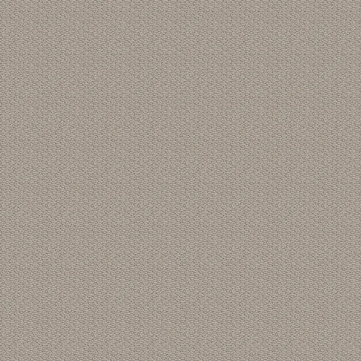 Shaw Floors Channeling — Sandstone · 5E457-00108 — flooring selection with LeviArs Design & Remodeling