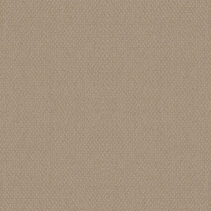 Shaw Floors Channeling — Wheat · 5E457-00110 — flooring selection with LeviArs Design & Remodeling