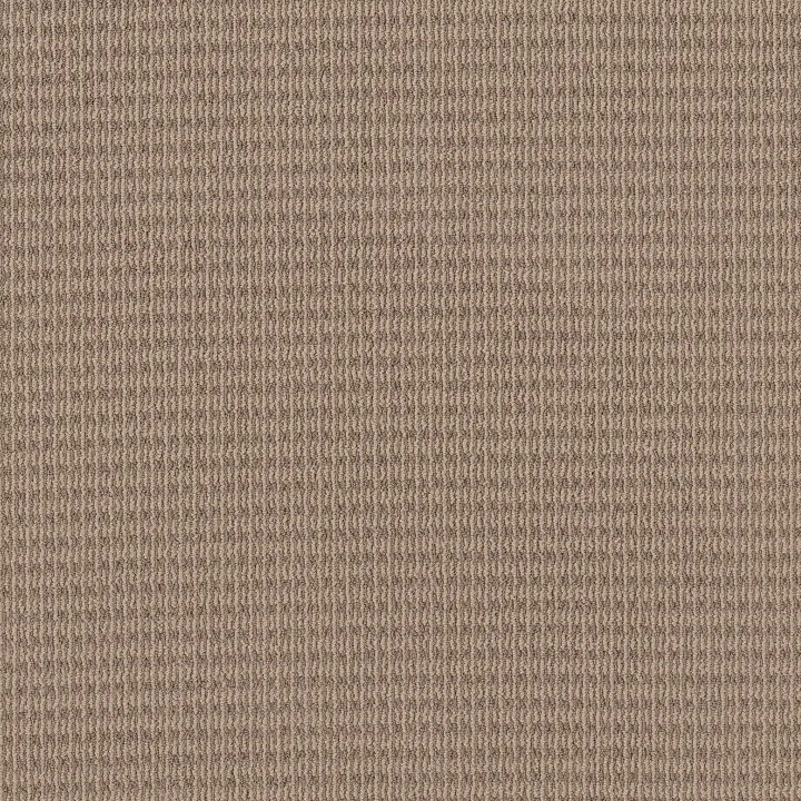 Shaw Floors Chic Elevation — Beige Bisque · 5E456-00110 — flooring selection with LeviArs Design & Remodeling
