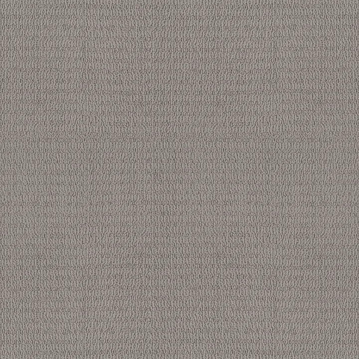 Shaw Floors Chic Elevation — Harbor Dock · 5E456-00504 — flooring selection with LeviArs Design & Remodeling