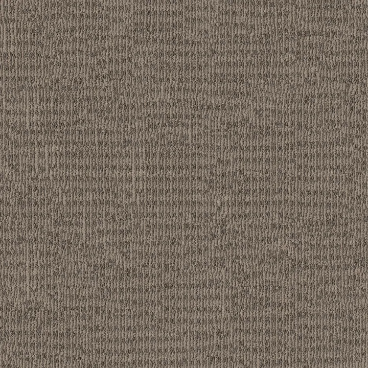 Shaw Floors Chic Elevation — Raw Wood · 5E456-00700 — flooring selection with LeviArs Design & Remodeling