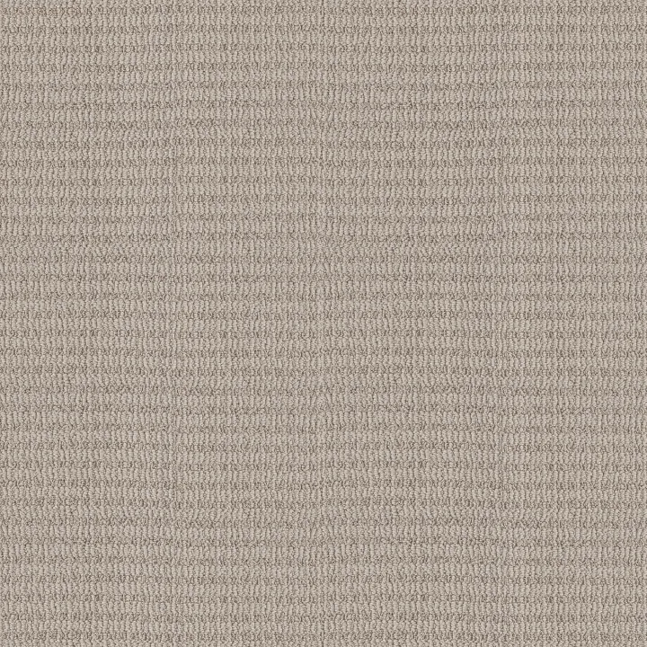 Shaw Floors Chic Elevation — Sandstone · 5E456-00108 — flooring selection with LeviArs Design & Remodeling