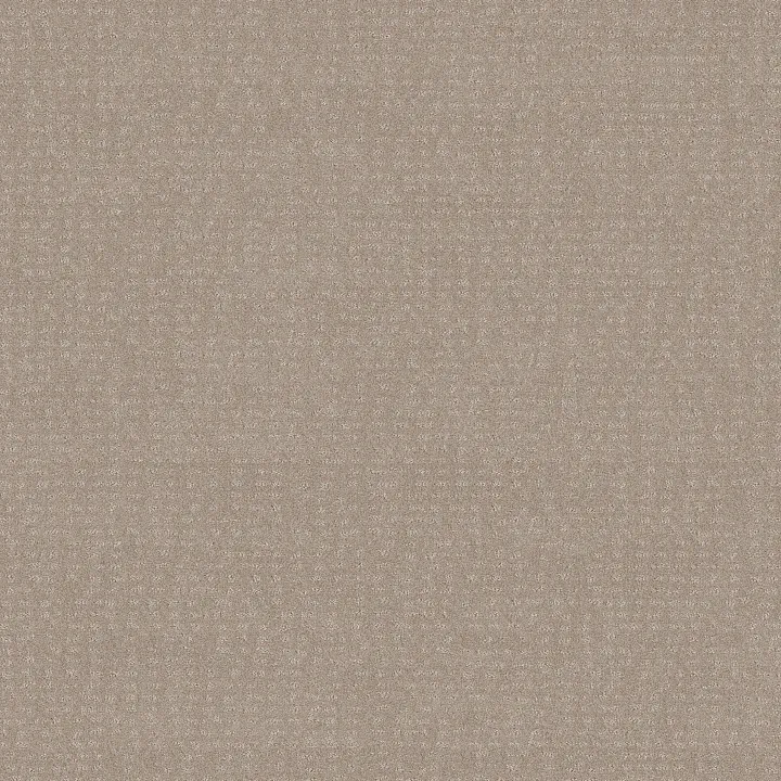 Shaw Floors Chic Nuance — Butter Cream · 5E341-00107 — flooring selection with LeviArs Design & Remodeling