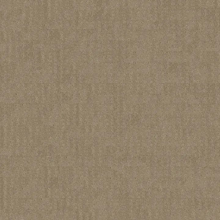 Shaw Floors Chic Nuance — Desert View · 5E341-00701 — flooring selection with LeviArs Design & Remodeling