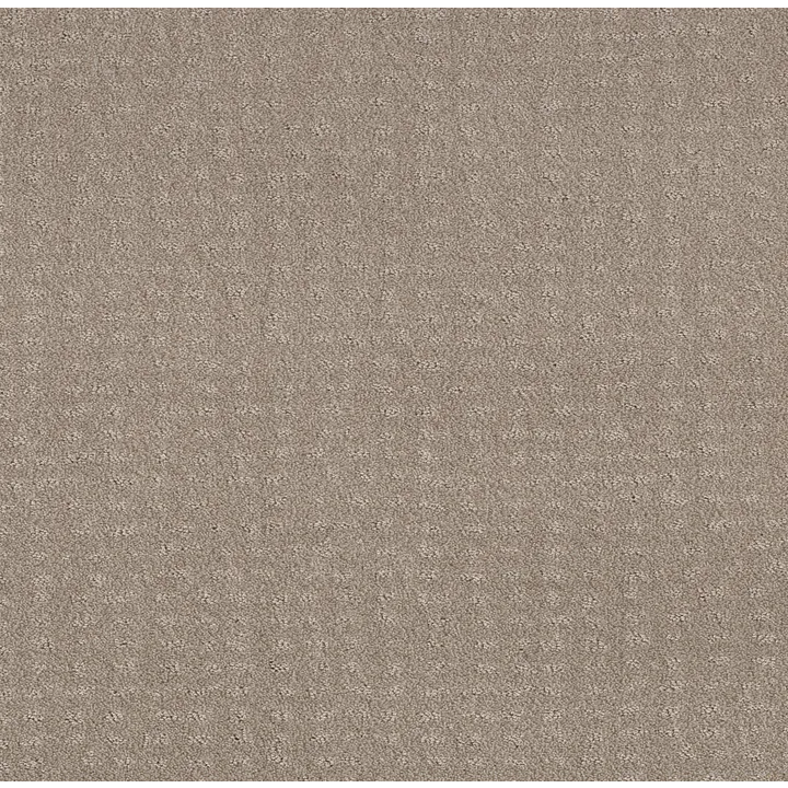 Shaw Floors Chic Nuance — Fossil Path · 5E341-00108 — flooring selection with LeviArs Design & Remodeling