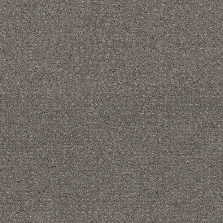 Shaw Floors Chic Nuance — Grey Fox · 5E341-00504 — flooring selection with LeviArs Design & Remodeling