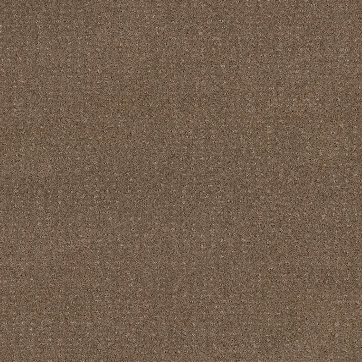 Shaw Floors Chic Nuance — Raw Wood · 5E341-00720 — flooring selection with LeviArs Design & Remodeling