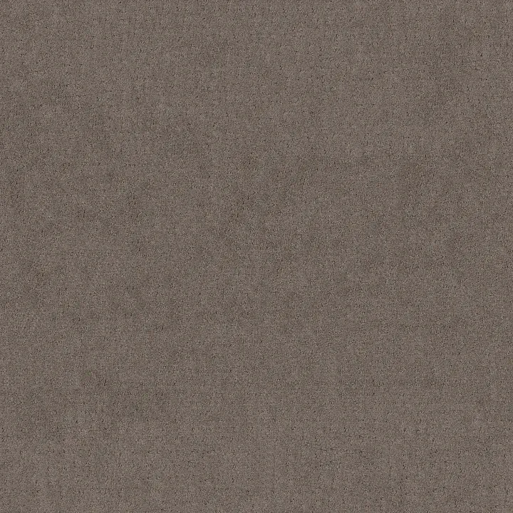 Shaw Floors Chic Nuance — Ridgeview · 5E341-00751 — flooring selection with LeviArs Design & Remodeling