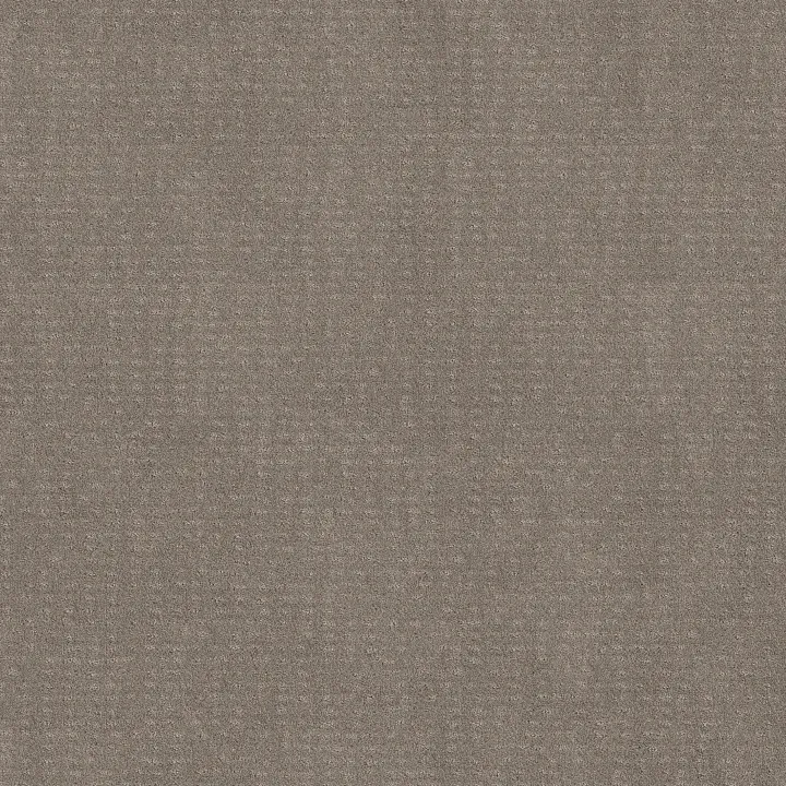 Shaw Floors Chic Nuance — River Run · 5E341-00700 — flooring selection with LeviArs Design & Remodeling