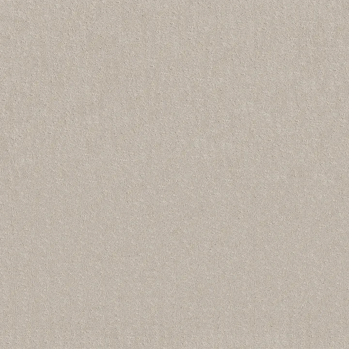 Shaw Floors Chic Nuance — Serene Still · 5E341-00101 — flooring selection with LeviArs Design & Remodeling