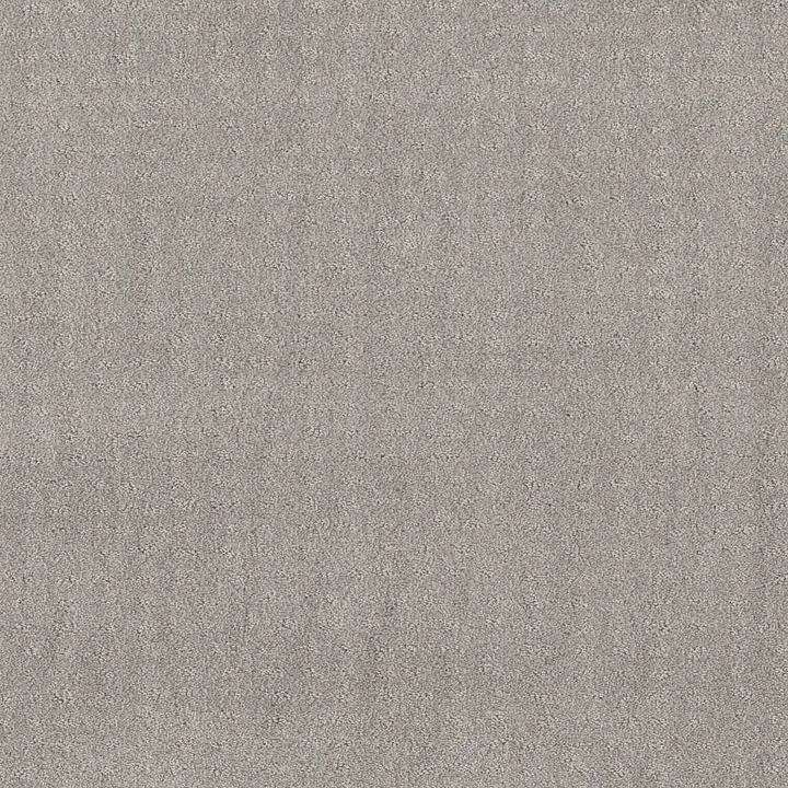 Shaw Floors Chic Nuance — Silver Lining · 5E341-00500 — flooring selection with LeviArs Design & Remodeling