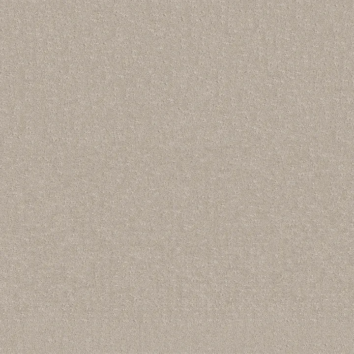 Shaw Floors Chic Nuance — Washed Linen · 5E341-00103 — flooring selection with LeviArs Design & Remodeling