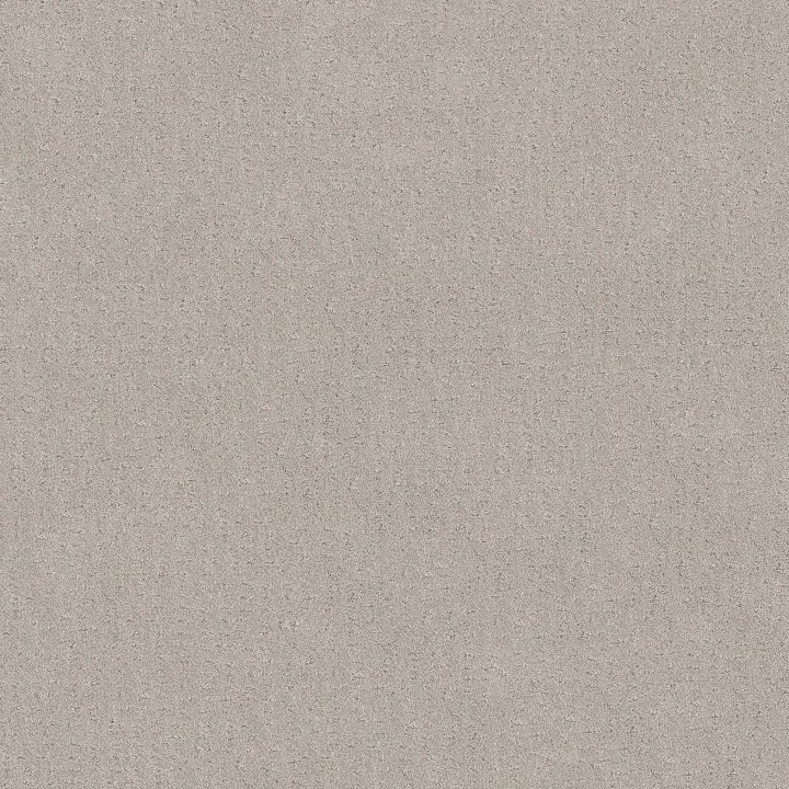 Shaw Floors Chic Nuance — Winters Dawn · 5E341-00102 — flooring selection with LeviArs Design & Remodeling