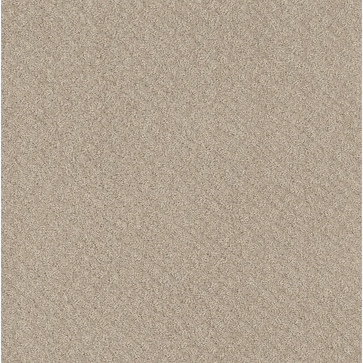 Shaw Floors Chic Shades — Butter Cream · 5E342-00107 — flooring selection with LeviArs Design & Remodeling