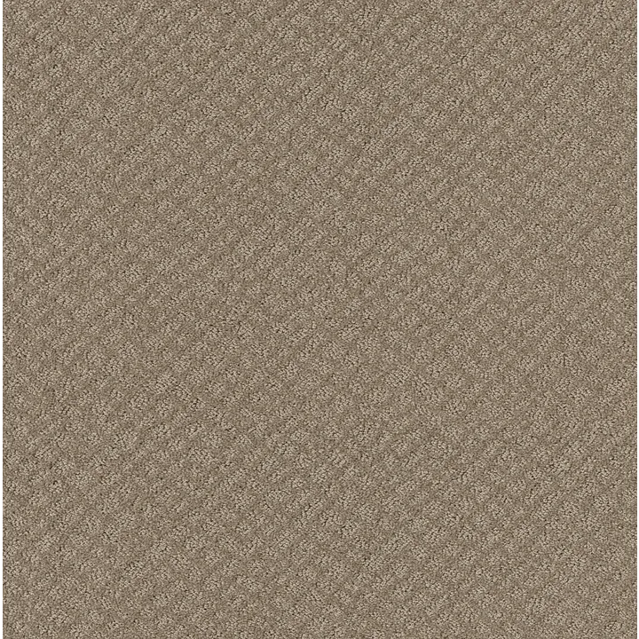 Shaw Floors Chic Shades — Desert View · 5E342-00701 — flooring selection with LeviArs Design & Remodeling