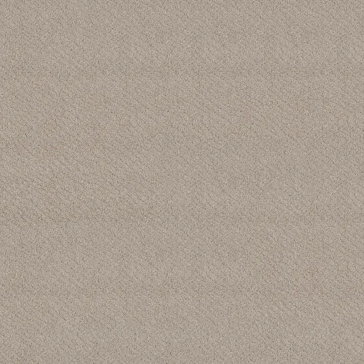 Shaw Floors Chic Shades — Fossil Path · 5E342-00108 — flooring selection with LeviArs Design & Remodeling