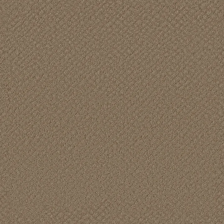 Shaw Floors Chic Shades — Raw Wood · 5E342-00720 — flooring selection with LeviArs Design & Remodeling