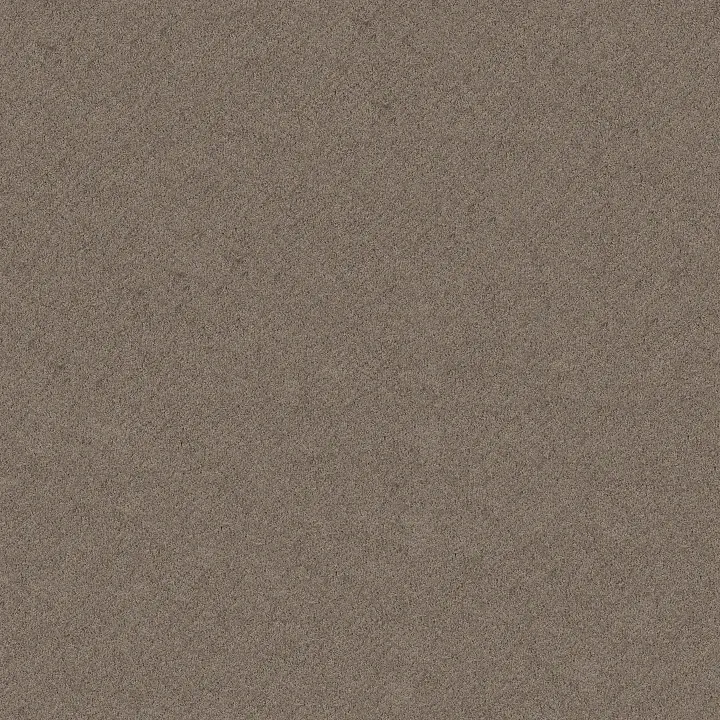 Shaw Floors Chic Shades — Ridgeview · 5E342-00751 — flooring selection with LeviArs Design & Remodeling