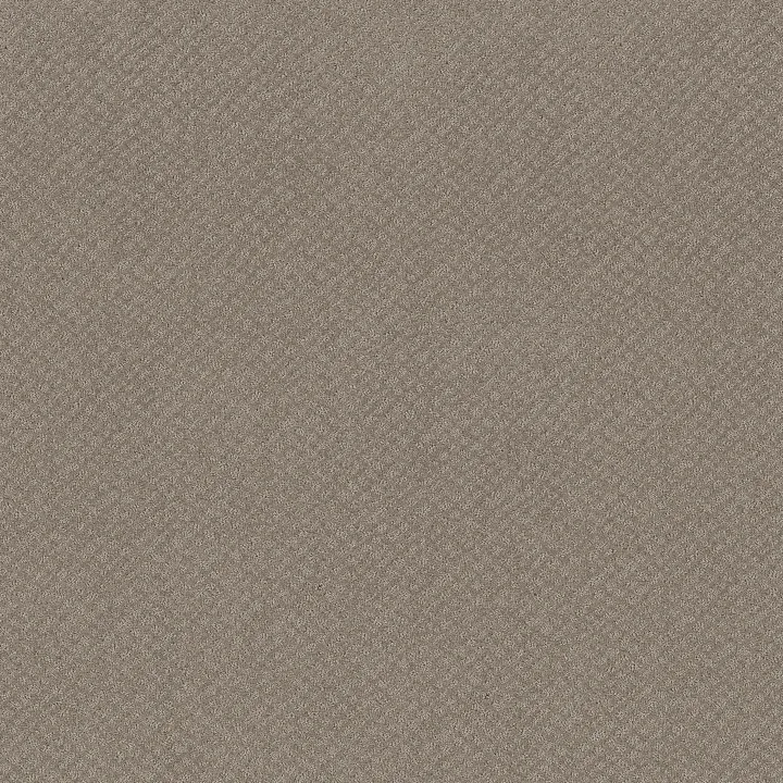 Shaw Floors Chic Shades — River Run · 5E342-00700 — flooring selection with LeviArs Design & Remodeling