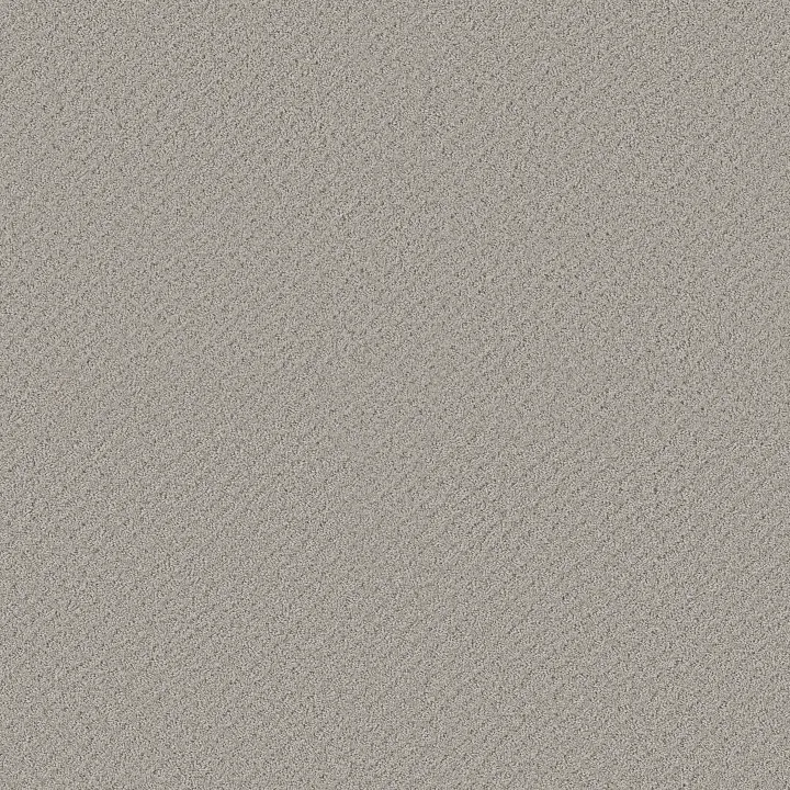 Shaw Floors Chic Shades — Silver Lining · 5E342-00500 — flooring selection with LeviArs Design & Remodeling