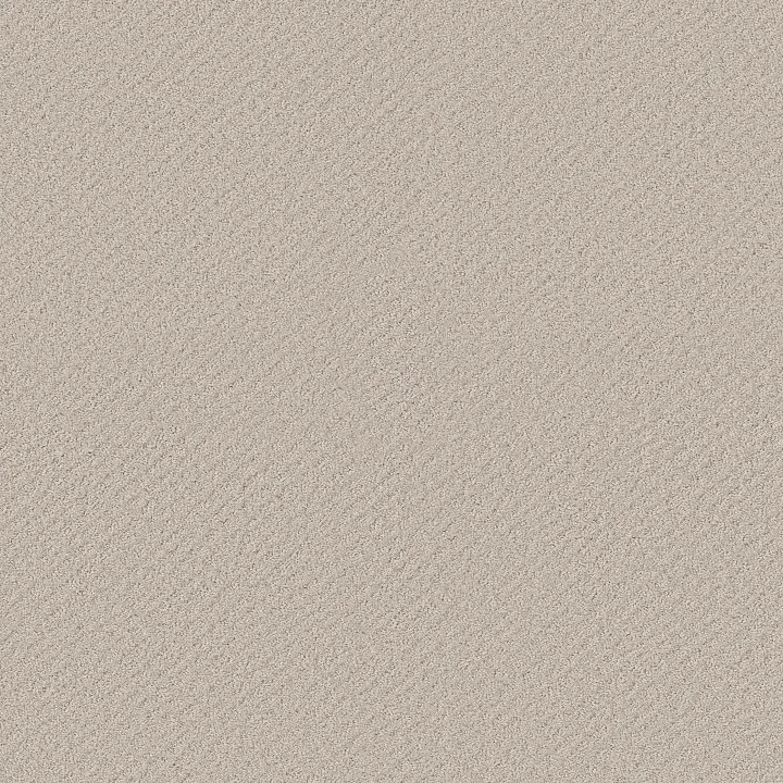 Shaw Floors Chic Shades — Washed Linen · 5E342-00103 — flooring selection with LeviArs Design & Remodeling
