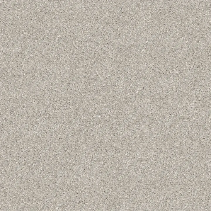 Shaw Floors Chic Shades — Winters Dawn · 5E342-00102 — flooring selection with LeviArs Design & Remodeling