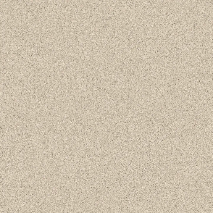 Shaw Floors Classic Tone Blue — Baja · 5E936-00106 — flooring selection with LeviArs Design & Remodeling