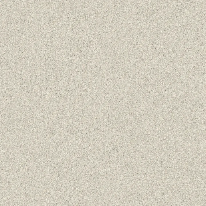 Shaw Floors Classic Tone Blue — Cool Winter · 5E936-00107 — flooring selection with LeviArs Design & Remodeling