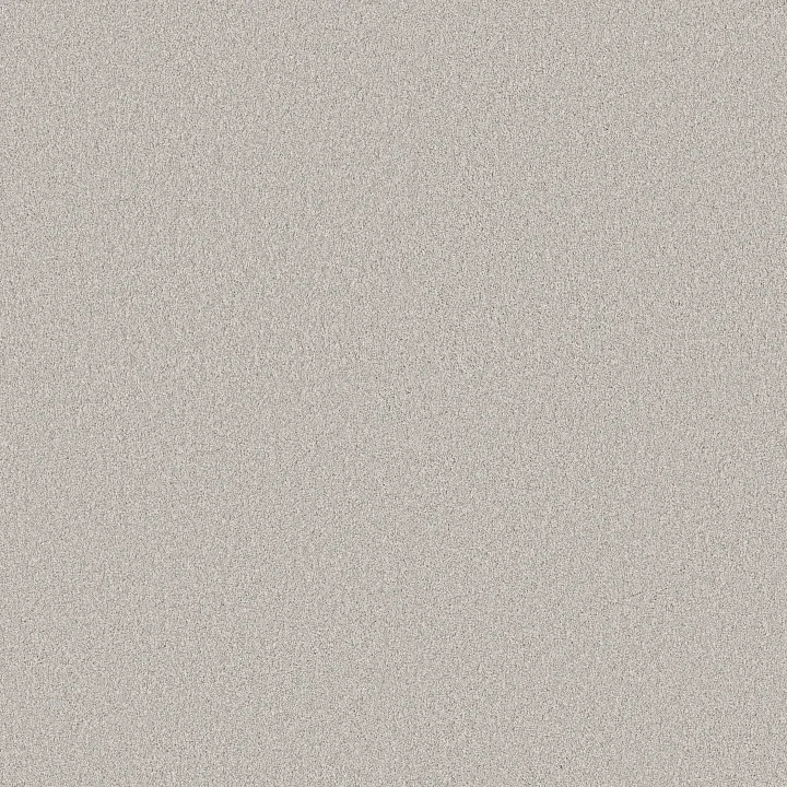 Shaw Floors Classic Tone — Distant Star · 5E915-00501 — flooring selection with LeviArs Design & Remodeling
