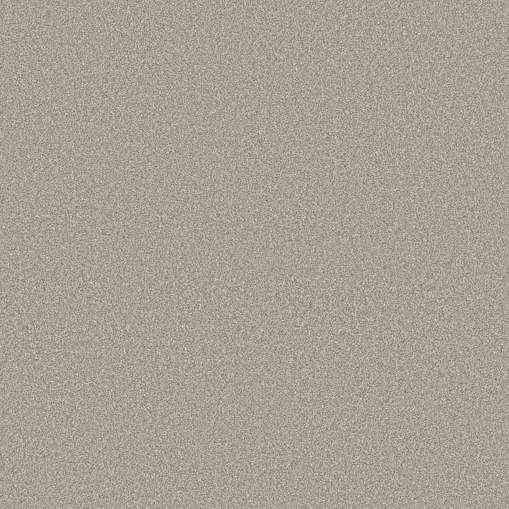 Shaw Floors Classic Tone — Driftwood · 5E915-00702 — flooring selection with LeviArs Design & Remodeling