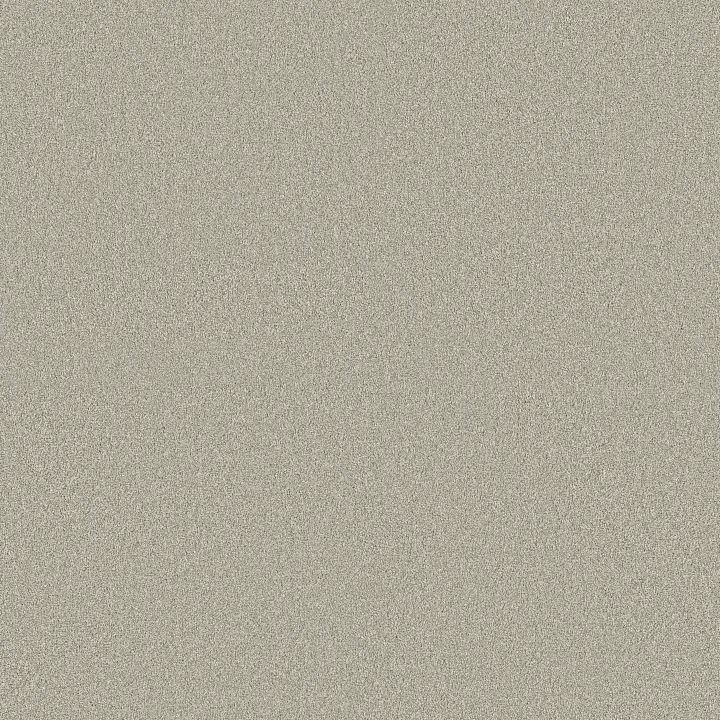 Shaw Floors Classic Tone Blue — Frosted Sage · 5E936-00320 — flooring selection with LeviArs Design & Remodeling
