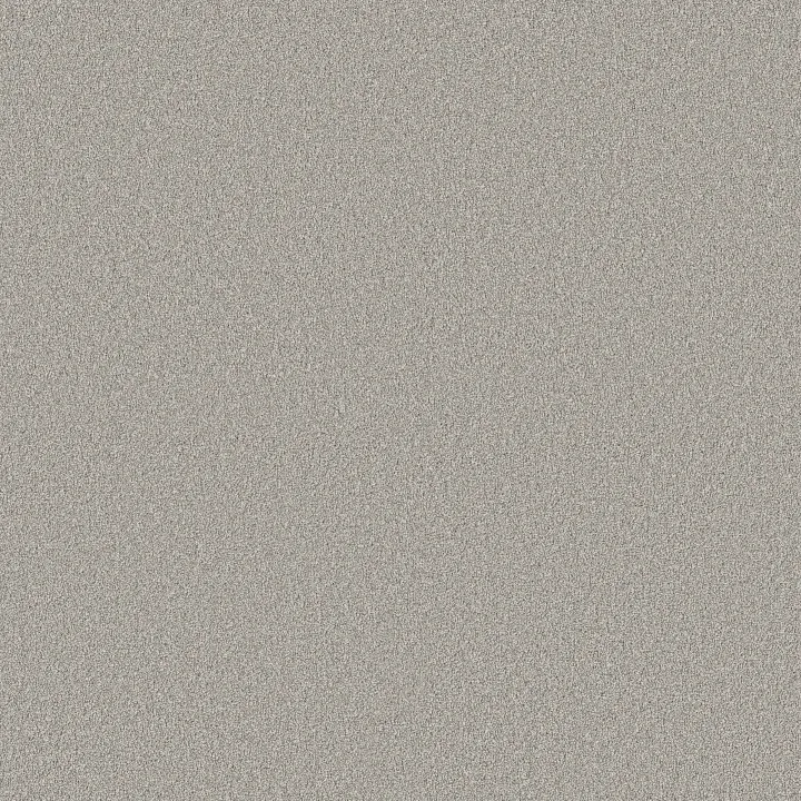 Shaw Floors Classic Tone — Magnetic · 5E915-00502 — flooring selection with LeviArs Design & Remodeling