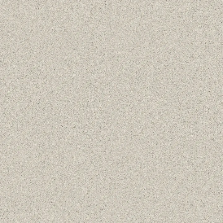 Shaw Floors Classic Tone — Minimalist · 5E915-00500 — flooring selection with LeviArs Design & Remodeling