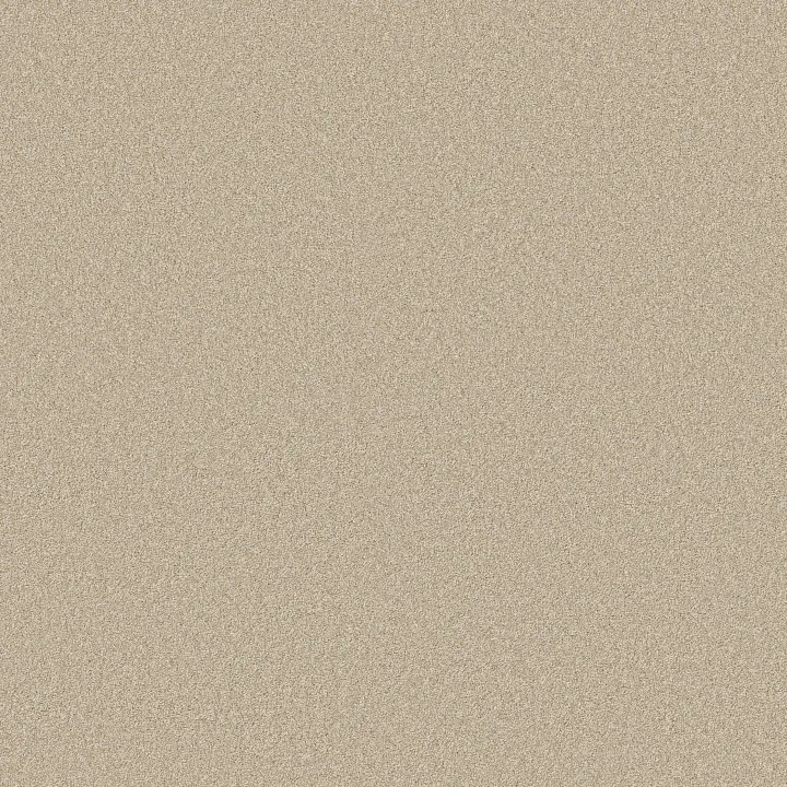 Shaw Floors Classic Tone — Mirage · 5E915-00703 — flooring selection with LeviArs Design & Remodeling